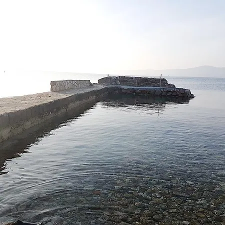 In - Zadar Riviera 8202 *