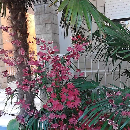 In - Zadar Riviera 8202 아파트