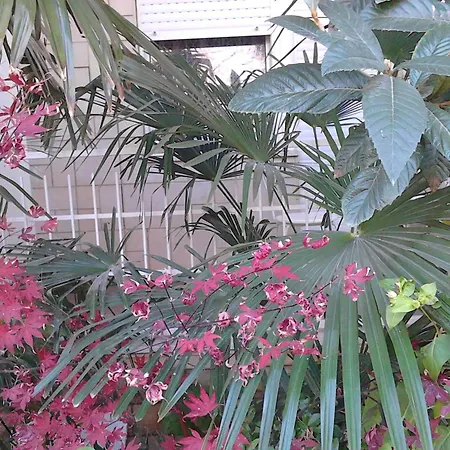 In - Zadar Riviera 8202 아파트 *