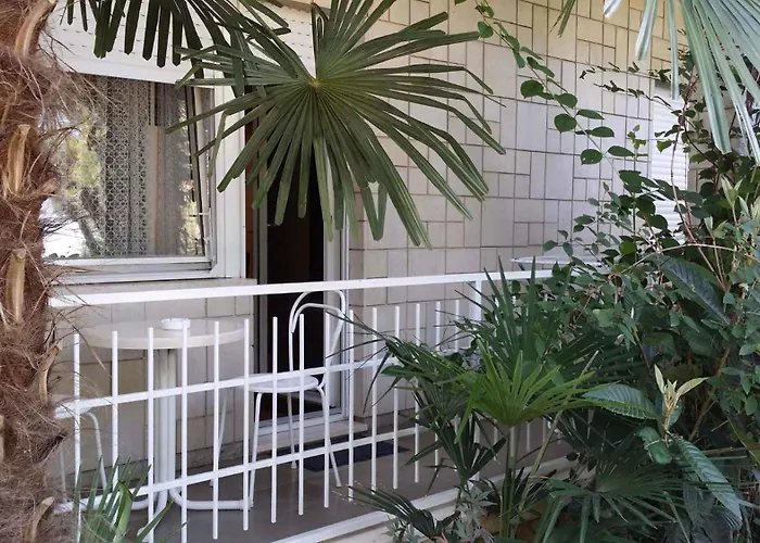 In - Zadar Riviera 8202 *