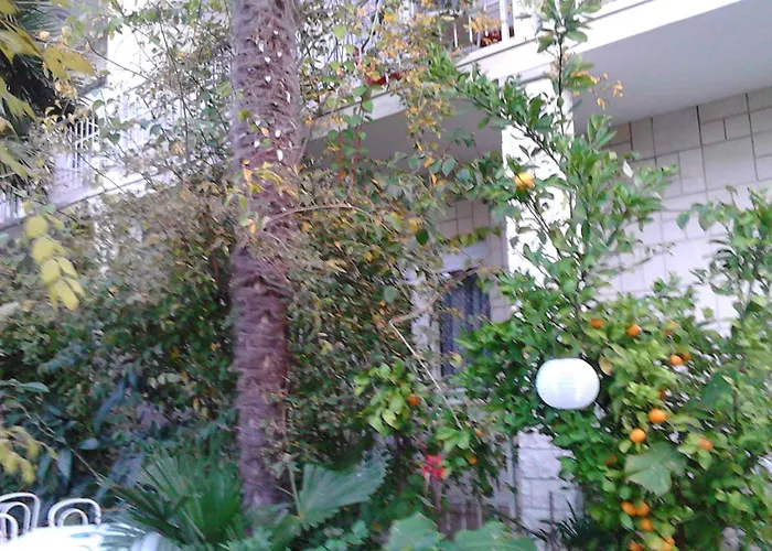 In - Zadar Riviera 8202 * Sukošan