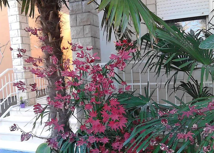 In - Zadar Riviera 8202 아파트