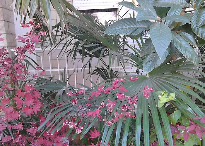 In - Zadar Riviera 8202 아파트 *