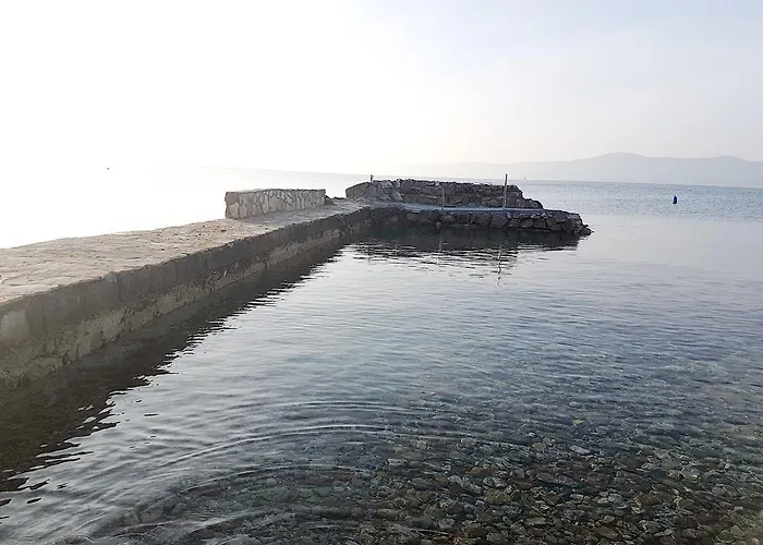 In - Zadar Riviera 8202 *